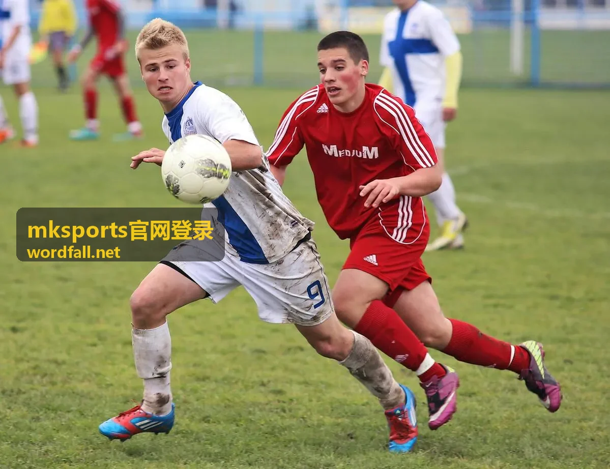 mksports官网登录 账号登录常见确认事项