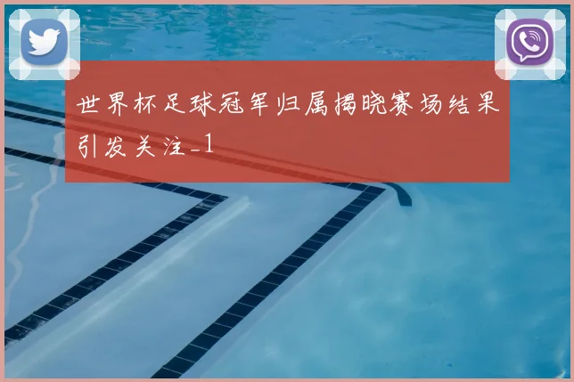 世界杯足球冠军归属揭晓赛场结果引发关注_1